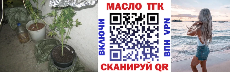 ТГК Wax  Талдом 