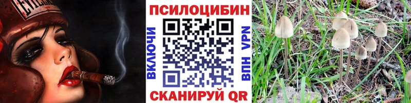 Галлюциногенные грибы прущие грибы Талдом
